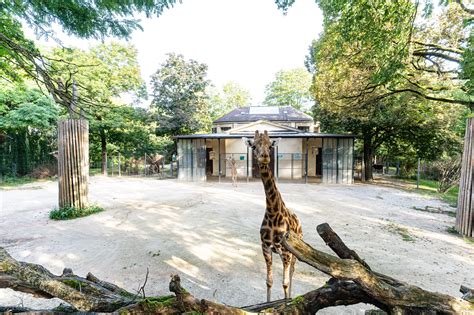 zoo basel switzerland